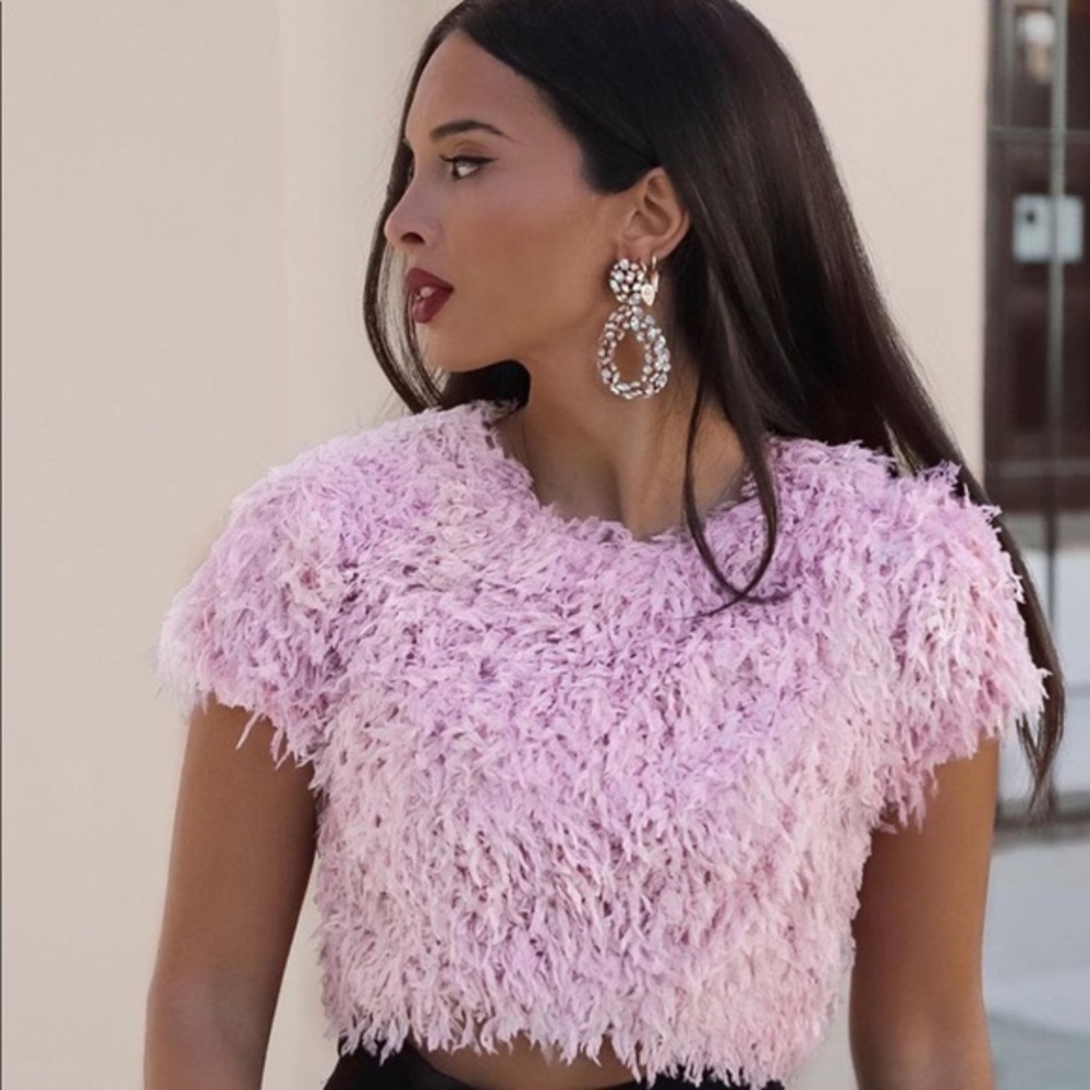 NWT Zara feather top